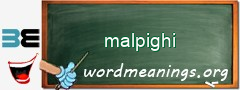 WordMeaning blackboard for malpighi